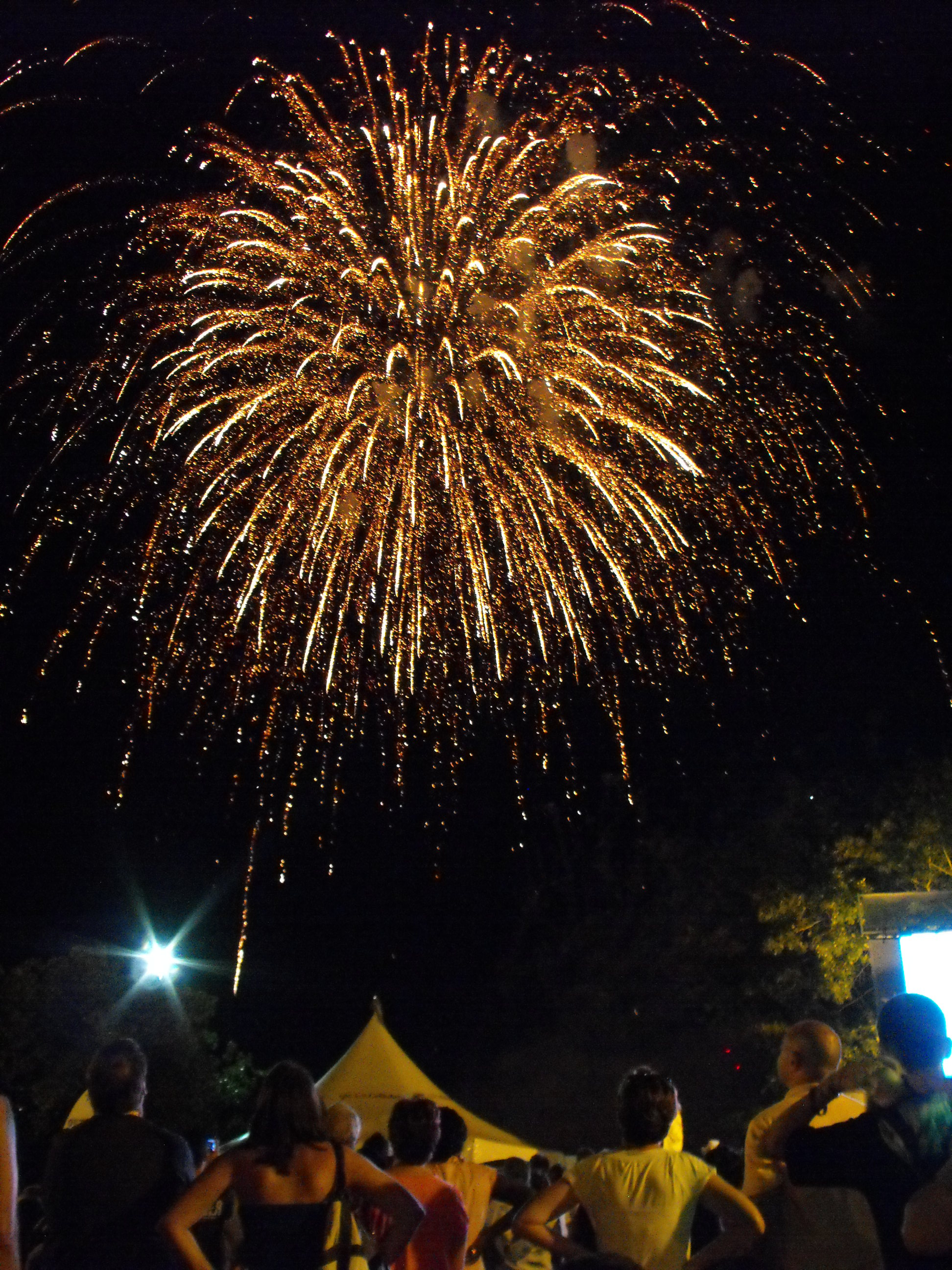 ./2010/Fourth of July/V4th July Fireworks Wilm 0094.JPG